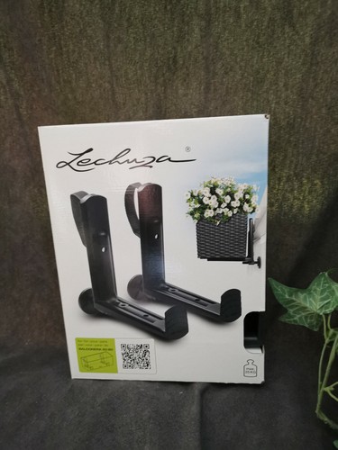Lechuza balconera - lechuza,
