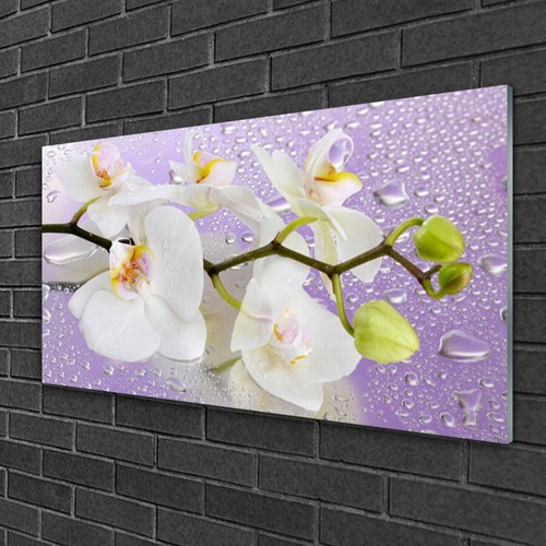 Glasbilder 100x50 wandbild - glasbilder,
