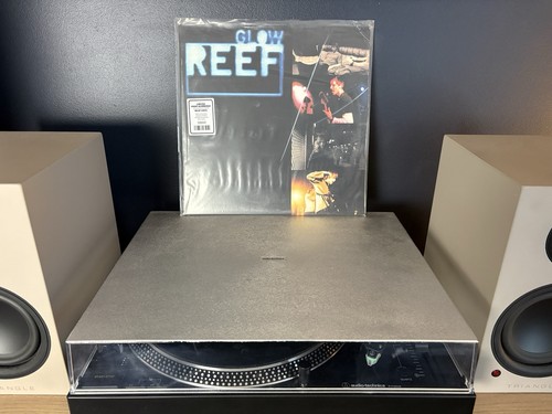 Reef glow eur 2022 - reef,