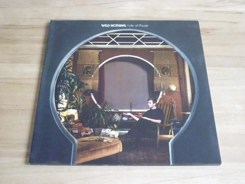 Wild nothing life of - ,