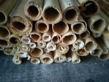 Füllmaterial Nisthilfen für Bienen u.a. Wildbienen Löcherbienen Hotel Bruthülsen