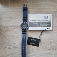 Citizen Eco Drive Promaster