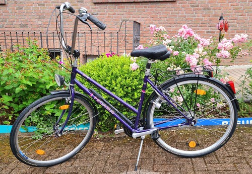 Pegasus fahrrad zoll damen - fahrrad,