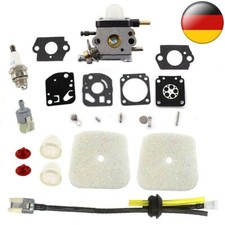 Vergaser für 2-Takt Mantis