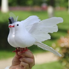 Taubenpaar Turteltauben 2