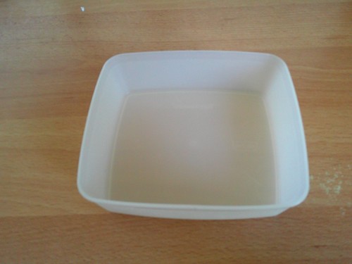 Tupperware gefrierdose - ,