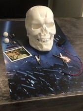 Terminator T-800 Endo Skull