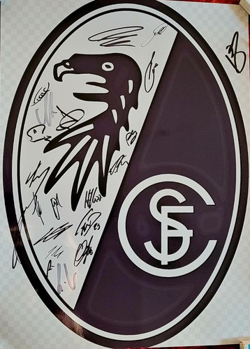 Signiertes grosses freiburg - signiertes,
