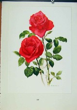 Original alte antike