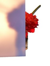 Polycarbonat Platte Zuschnitt