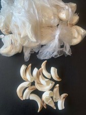 Wildschweinzähne  HADERER