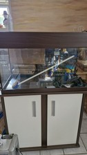 Aquarium Becken 80x40x50cm