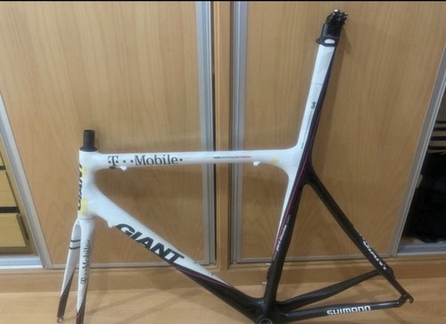 Cuadro giant tcr - tcr, isp