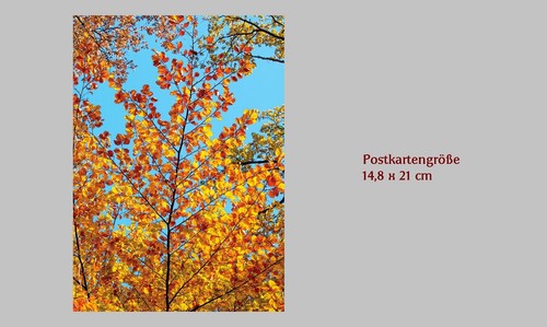 Künstlerpostkarten wald baum - künstlerpostkarten,