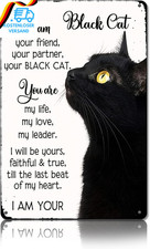 Leseogye Schwarze Katze Bild