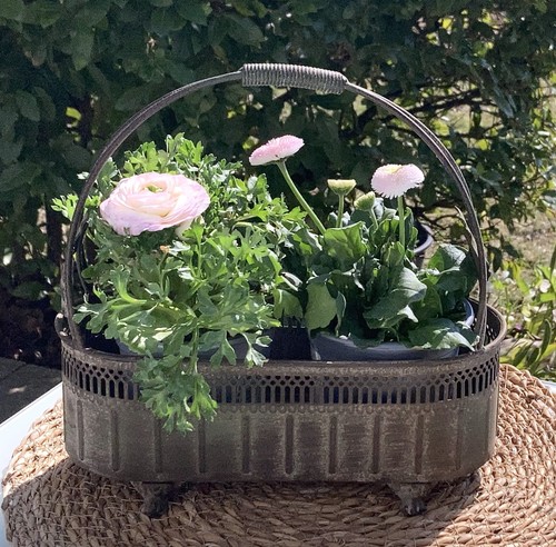 Shabby pflanzkorb pflanzenkorb - shabby,