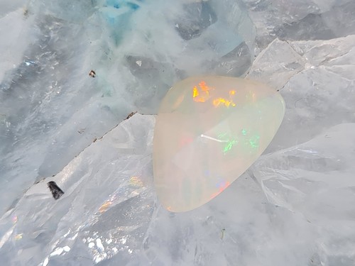 Topfarben welo opal - welo, x