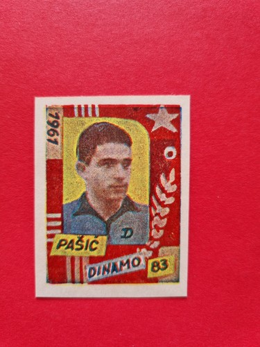 Ilijas pasic - (dinamo,