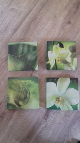 Bilderset 4er orchidee calla - orchidee, /