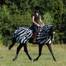 % Bucas Buzz-Off Riding Zebra