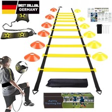 Koordinationsleiter + Pylonen