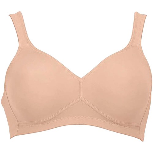 Rosa faia soft twin - rosa,