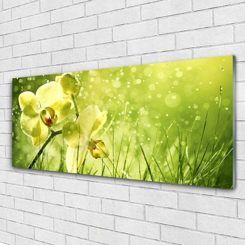 Acrylglasbilder wandbilder - acrylglasbilder,