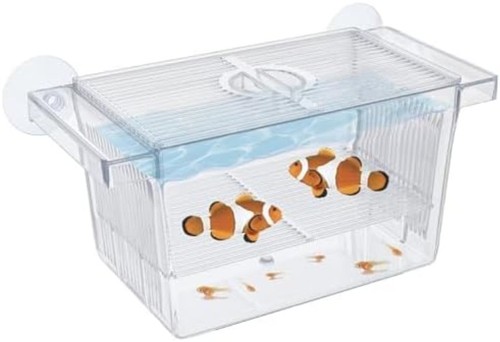 Aquarium fischzuchtbox aus - aquarium,