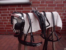 1-spänner Brustblattgeschirr