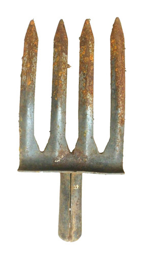 Alte dicke zinken - 4,