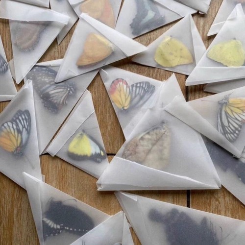 20pc diy geschenk echt - 10/20pc,