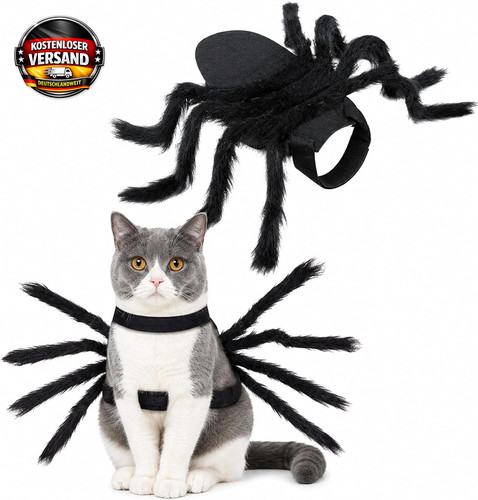 Halloween spinnenkostüm für - halloween,