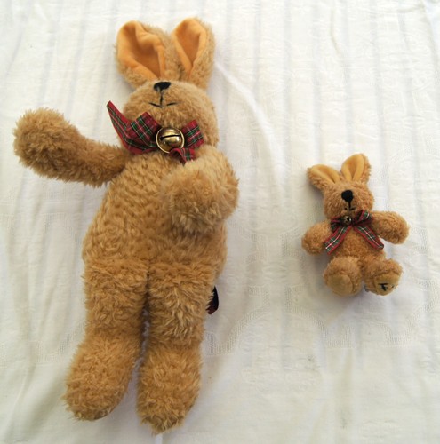 Hase felix klein - 2,