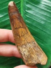 7,9 cm brauner gemusterter