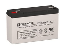 6V10 Exide replacement
