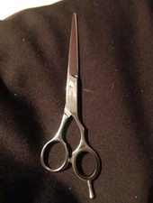 Friseur Scheren  2 GUTE DIE