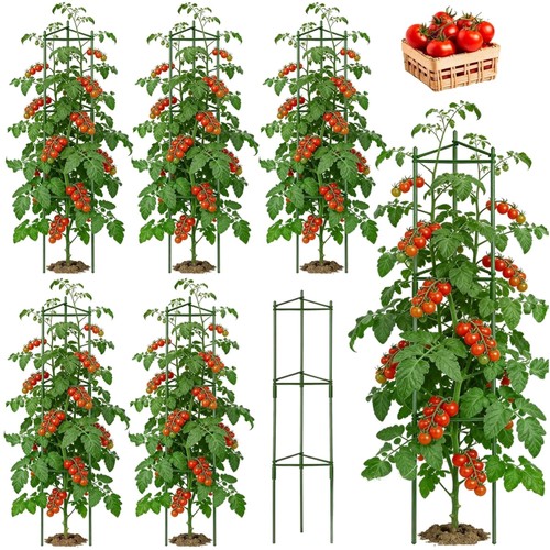 Tomaten rankhilfe 6er - rankhilfe, 6er-set