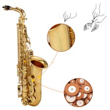 ALT SAXOPHON MESSING - SAX SET (Koffer, Pflege, Mundstück) GOLD - PLÄTTCHEN
