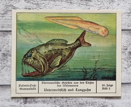 Unterweltfische langzahn - unterweltfische,