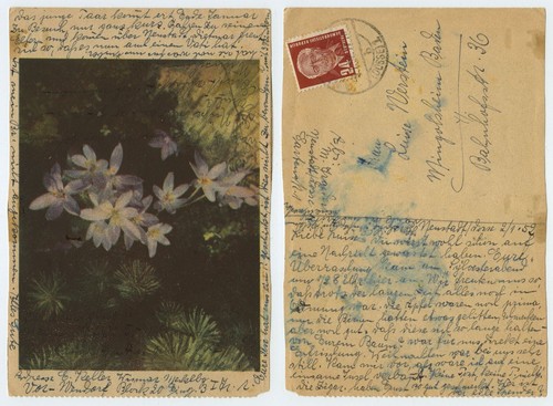 115216 blumen - blumen,