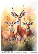 Reispapier A4 Strohseide