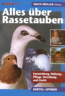Alles über rassetauben - über, rassetauben,