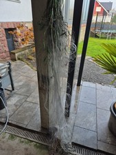 Stellnetz Fischernetz Netz Fisch Berufsfischerqualität