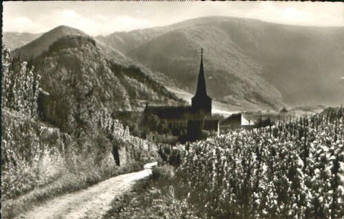 Mayschoss 1954 - mayschoss,