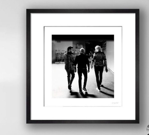 Queen brian may roger taylor - roger,
