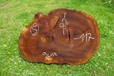 Baumscheibe XXL Holzscheibe