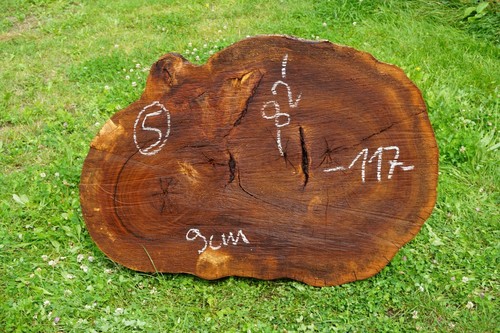 Baumscheibe xxl holzscheibe - baumscheibe,