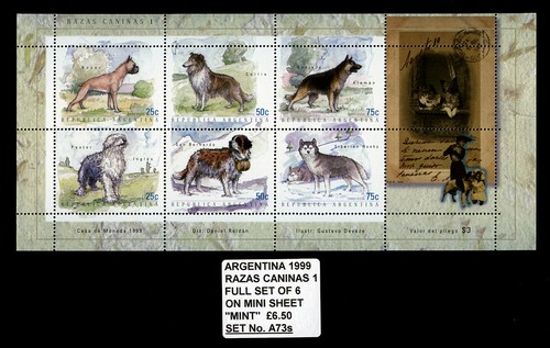 Boxer husky collie - old, english