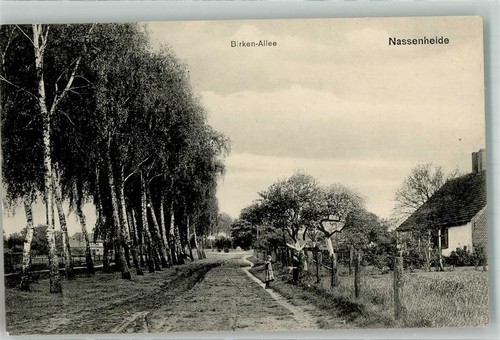 13528189 1431 nassenheide - 13528189,