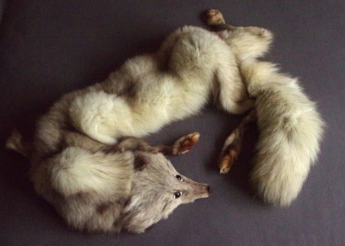 Fuchs stola schal fellschal - stola,